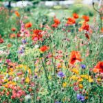 Stoffen en texturen: voeg warmte toe aan je interieur