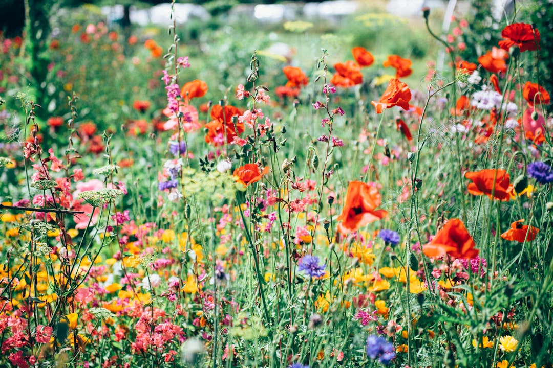 Bloemenbed met herfsttinten voor een zomerslot.