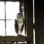 Verlichtingstrucs voor meer diepte in een smalle badkamer