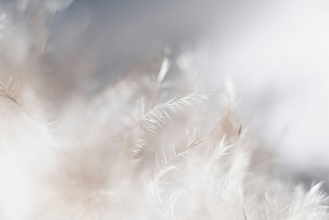 Gekleurde papegaai op abstracte vogelposter.